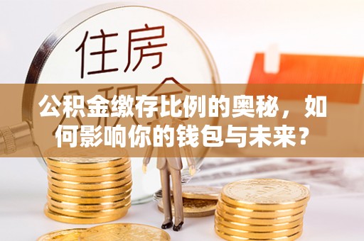 卫滨公积金缴存比例的奥秘，如何影响你的钱包与未来？