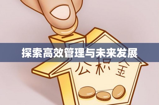 卫滨探索高效管理与未来发展