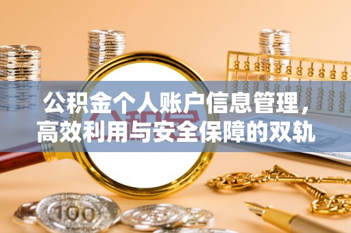 卫滨公积金个人账户信息管理，高效利用与安全保障的双轨并行