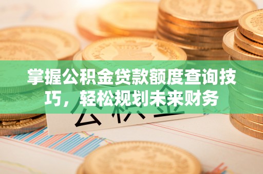卫滨掌握公积金贷款额度查询技巧，轻松规划未来财务