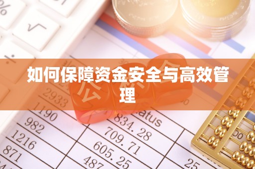 卫滨如何保障资金安全与高效管理