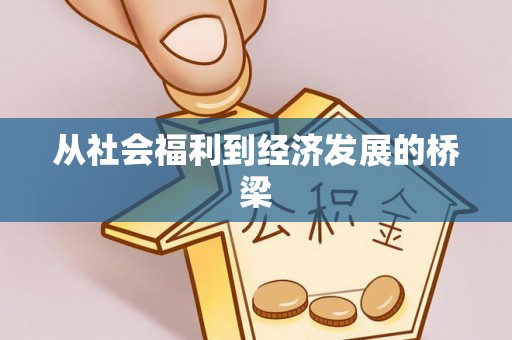 卫滨从社会福利到经济发展的桥梁