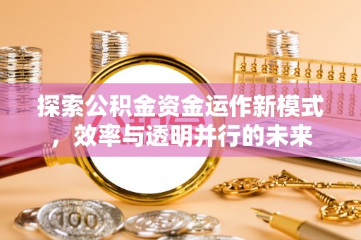 卫滨探索公积金资金运作新模式，效率与透明并行的未来