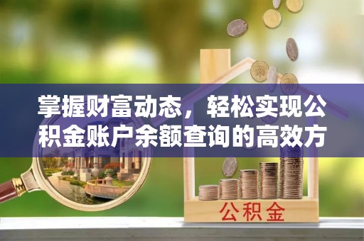 卫滨掌握财富动态，轻松实现公积金账户余额查询的高效方法