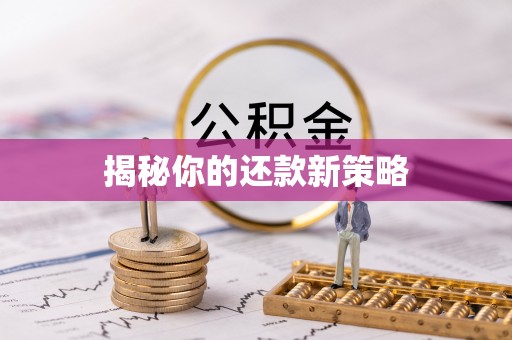 卫滨揭秘你的还款新策略