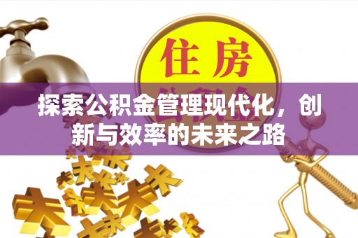 卫滨探索公积金管理现代化，创新与效率的未来之路
