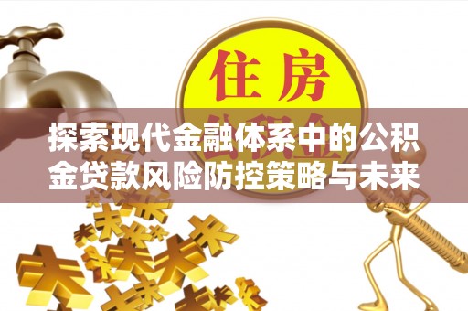 卫滨探索现代金融体系中的公积金贷款风险防控策略与未来发展趋势