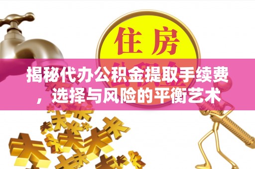 卫滨揭秘代办公积金提取手续费，选择与风险的平衡艺术
