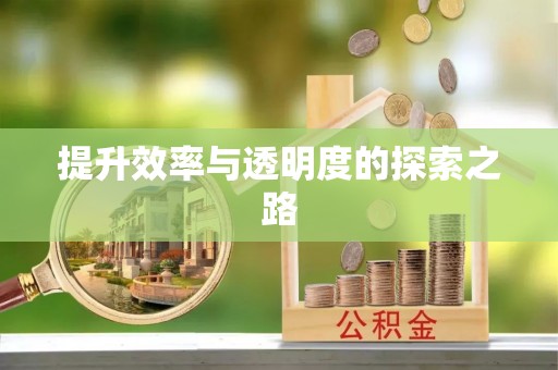 卫滨提升效率与透明度的探索之路