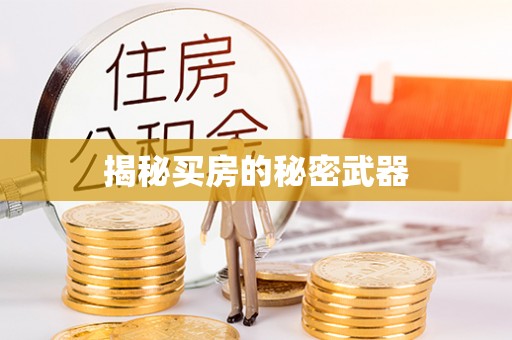 卫滨揭秘买房的秘密武器