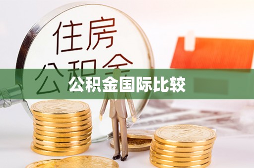 卫滨公积金国际比较