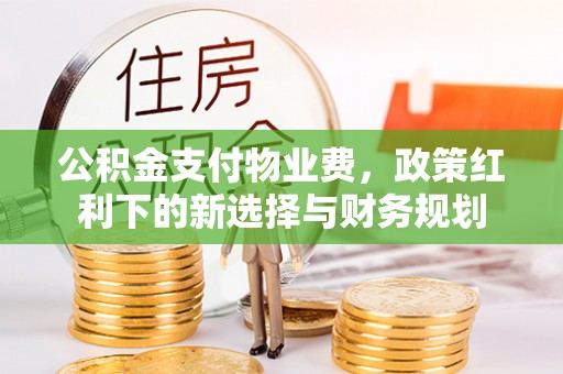 卫滨公积金支付物业费，政策红利下的新选择与财务规划