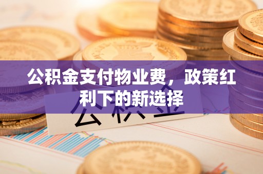 卫滨公积金支付物业费，政策红利下的新选择
