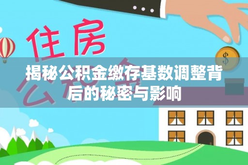 卫滨揭秘公积金缴存基数调整背后的秘密与影响