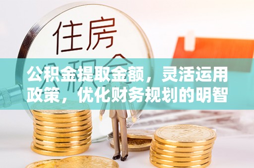 卫滨公积金提取金额，灵活运用政策，优化财务规划的明智选择