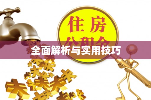 卫滨全面解析与实用技巧