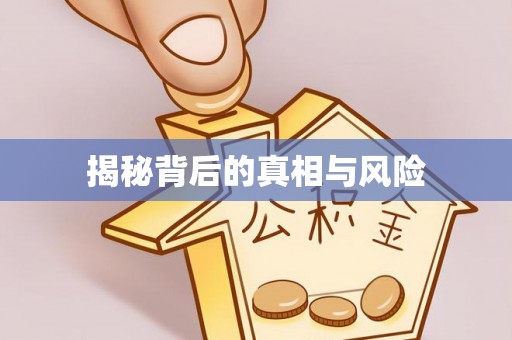 卫滨揭秘背后的真相与风险