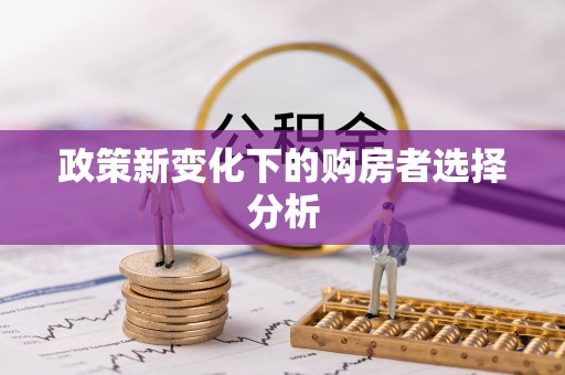 卫滨政策新变化下的购房者选择分析