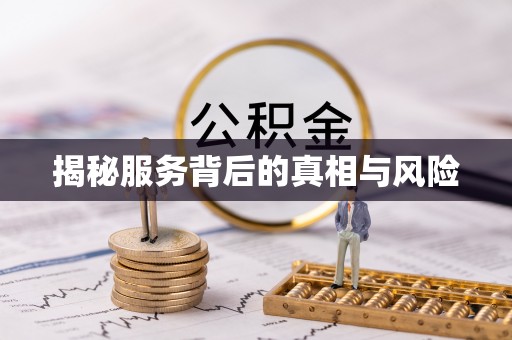 卫滨揭秘服务背后的真相与风险