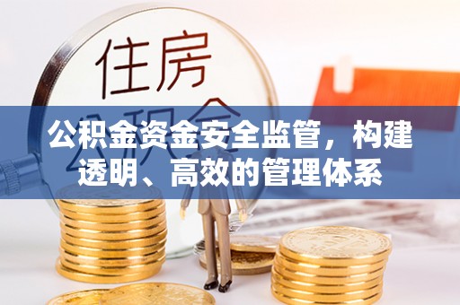 卫滨公积金资金安全监管，构建透明、高效的管理体系