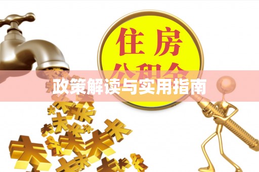 卫滨政策解读与实用指南