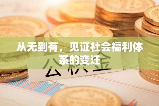 卫滨从无到有，见证社会福利体系的变迁