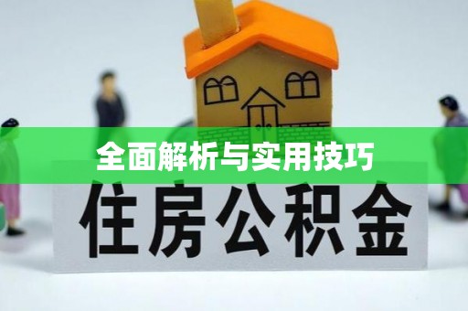 卫滨全面解析与实用技巧