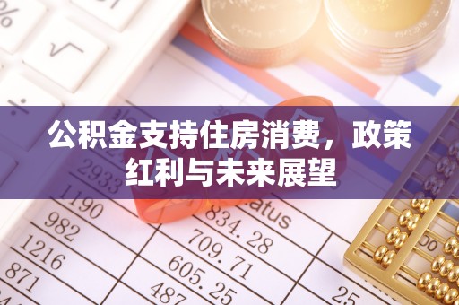 卫滨公积金支持住房消费，政策红利与未来展望