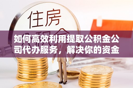 卫滨如何高效利用提取公积金公司代办服务，解决你的资金难题