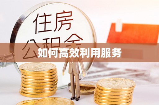 卫滨如何高效利用服务