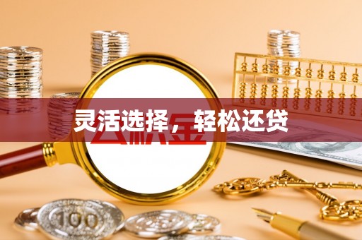 卫滨灵活选择，轻松还贷