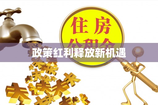 卫滨政策红利释放新机遇
