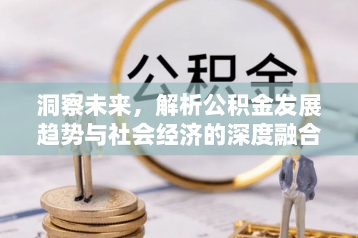 卫滨洞察未来，解析公积金发展趋势与社会经济的深度融合