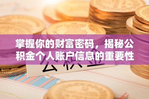 卫滨掌握你的财富密码，揭秘公积金个人账户信息的重要性