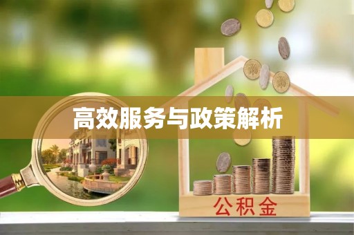 卫滨高效服务与政策解析