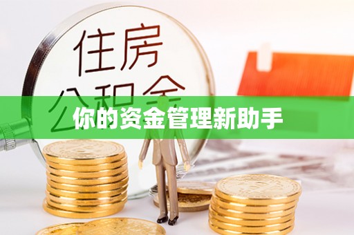 卫滨你的资金管理新助手
