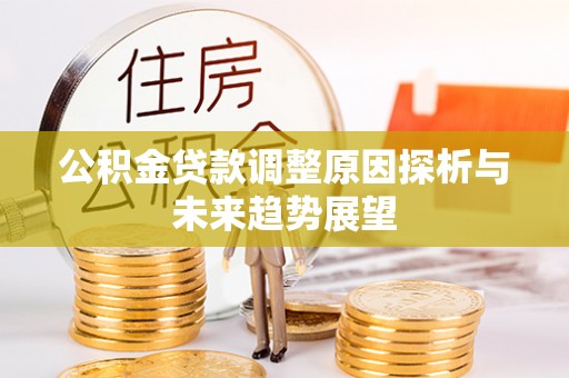 卫滨公积金贷款调整原因探析与未来趋势展望