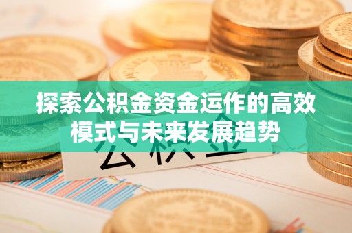 卫滨探索公积金资金运作的高效模式与未来发展趋势