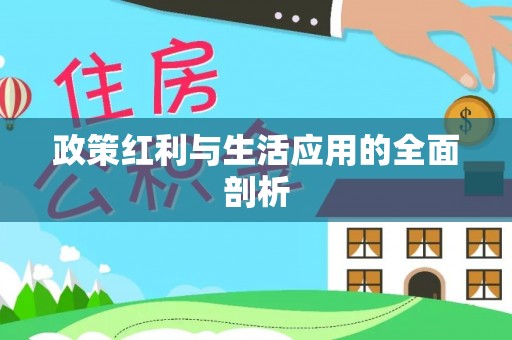 卫滨政策红利与生活应用的全面剖析