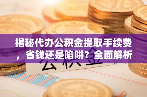 卫滨揭秘代办公积金提取手续费，省钱还是陷阱？全面解析与避坑指南