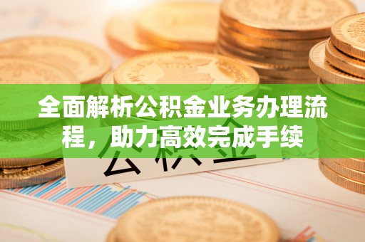 卫滨全面解析公积金业务办理流程，助力高效完成手续