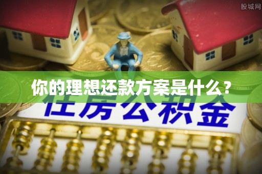 卫滨你的理想还款方案是什么？