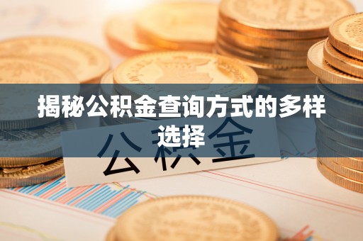 卫滨揭秘公积金查询方式的多样选择