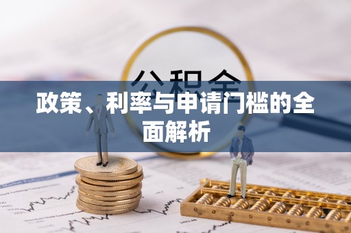 卫滨政策、利率与申请门槛的全面解析