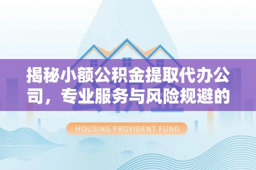 卫滨揭秘小额公积金提取代办公司，专业服务与风险规避的平衡艺术