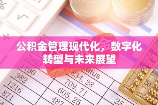 卫滨公积金管理现代化，数字化转型与未来展望