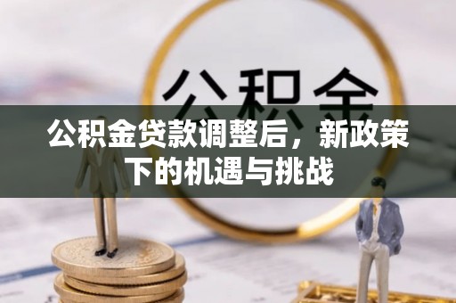 卫滨公积金贷款调整后，新政策下的机遇与挑战