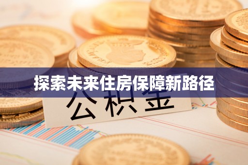 卫滨探索未来住房保障新路径