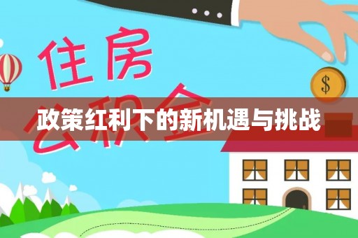 卫滨政策红利下的新机遇与挑战
