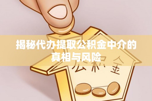 卫滨揭秘代办提取公积金中介的真相与风险